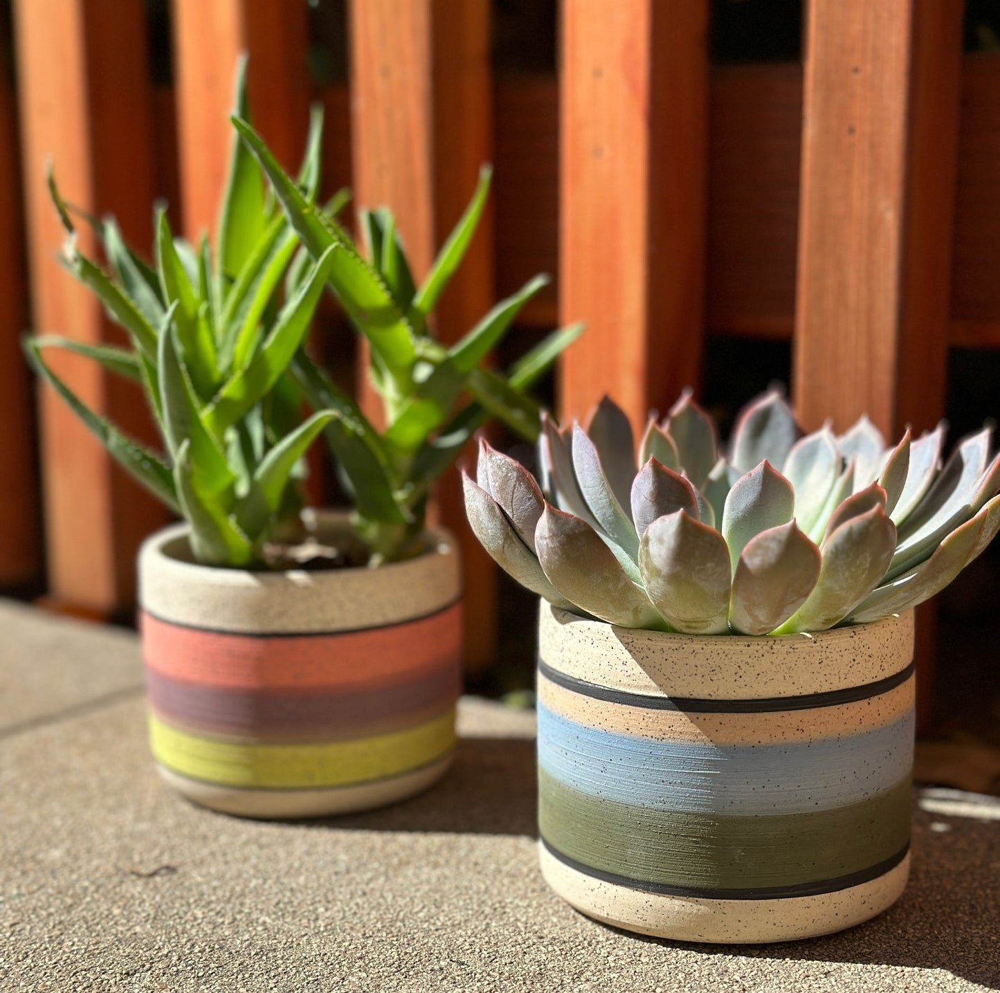 A Color Study Planter
